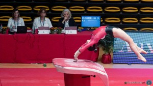 serie a1 sfe03976 copia ph simone ferraro